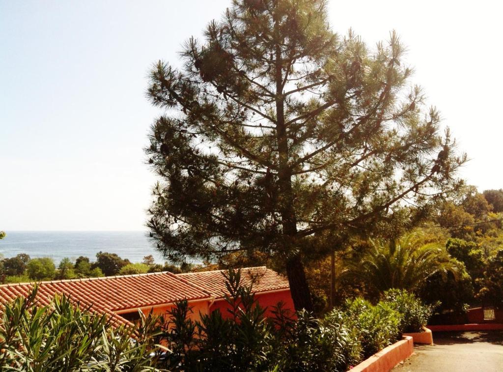 Hotel Residence San Pieru Tarcu Esterno foto