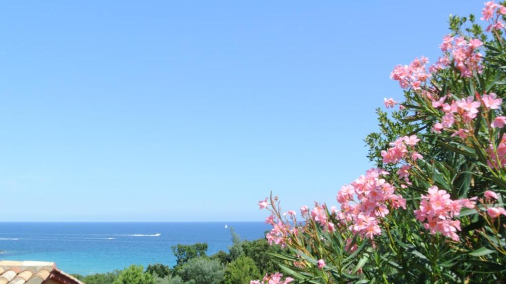 Hotel Residence San Pieru Tarcu Camera foto